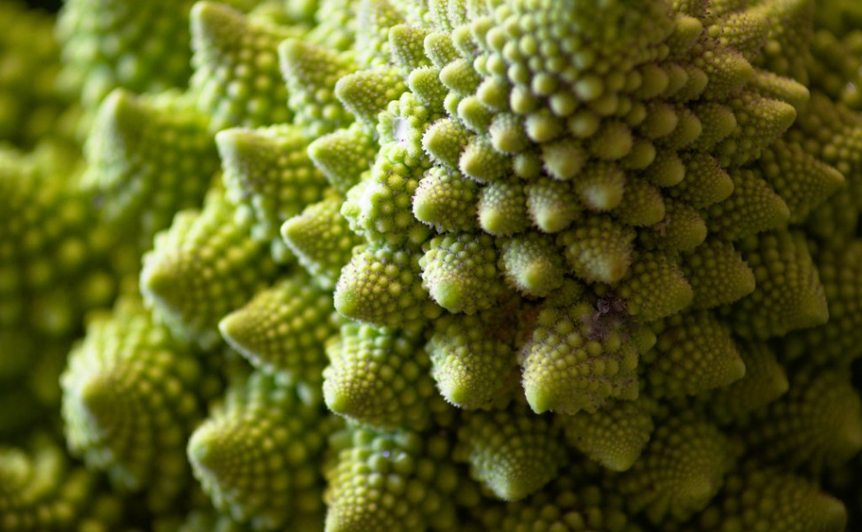 Choux romanesco : quels sont ses bienfaits pour le sportif ?