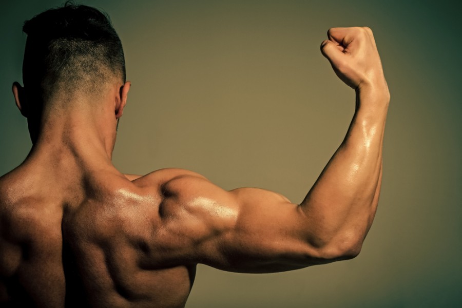 Comment bien muscler ses biceps et triceps ?
