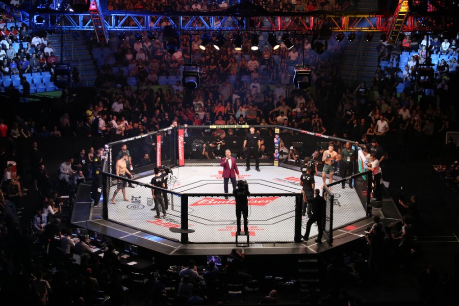 Catégorie en MMA : comprendre les différents poids et les règles de compétition