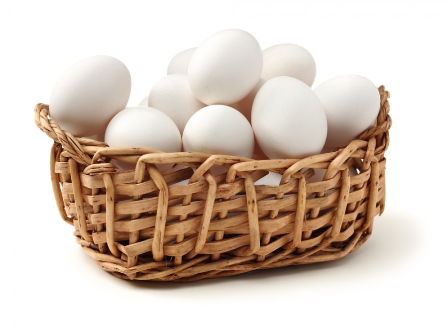 Pourquoi l'oeuf blanc est-il conseillé aux sportifs ?
