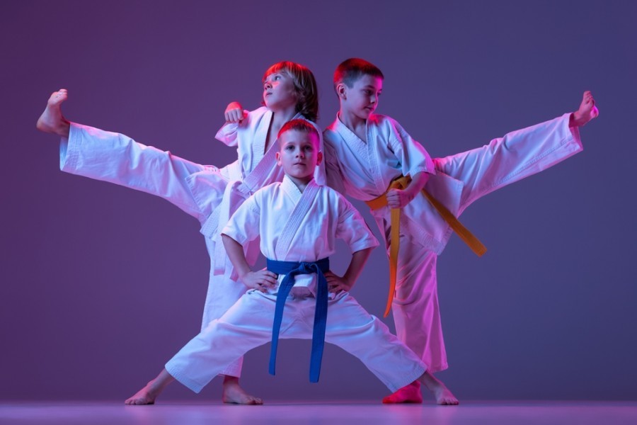 Quels sont les critères pour obtenir un grade de judo ?