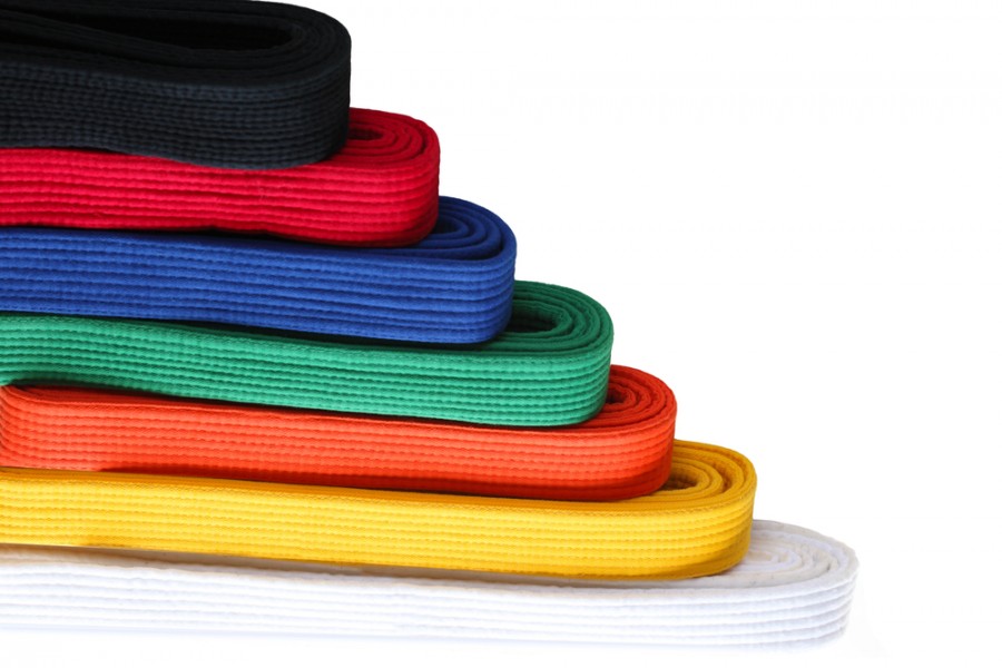 Quels sont les différents niveaux de ceinture en judo avant d'atteindre la ceinture rouge ?