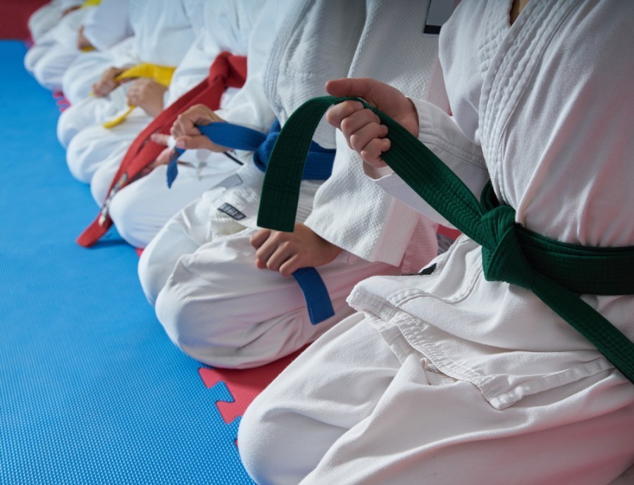 Quels sont les grades du judo ?